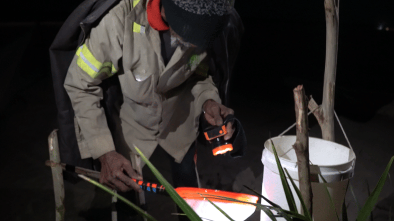 La pesca de anguilas: el negocio millonario que transforma los pueblos costeros del Este - Imagen