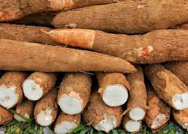 Posible relación entre la epilepsia y la yuca