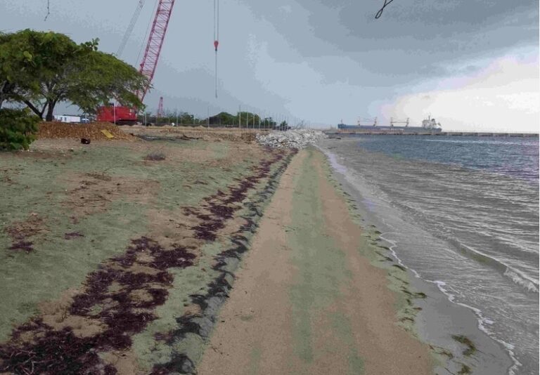 Entidad pide Presidente revisar el proyecto Manzanillo Power