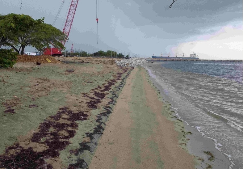 Entidad pide Presidente revisar el proyecto Manzanillo Power