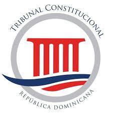 El Tribunal Constitucional y los sistemas electoral y de partidos (OPINION)