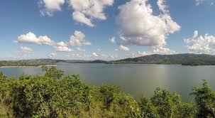 Un horrendo crimen medioambiental