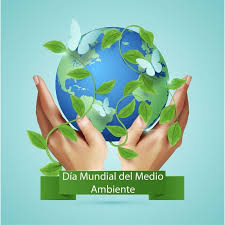 Día Mundial del Medio Ambiente: entre discursos y sestrucción